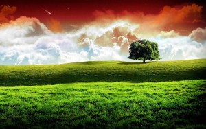 Independence-Day-Nature-Wallpaper-Picture-1024x640